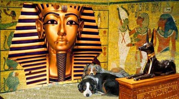 KingTut.GaWy_650x360