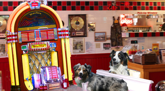 Jukebox.GaWy3_650x360