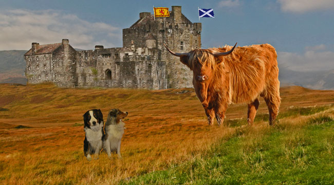 Scotland highlands bagpiper photo tour tom and pat cory