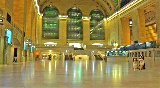 GrandCent.GaWy_650x360