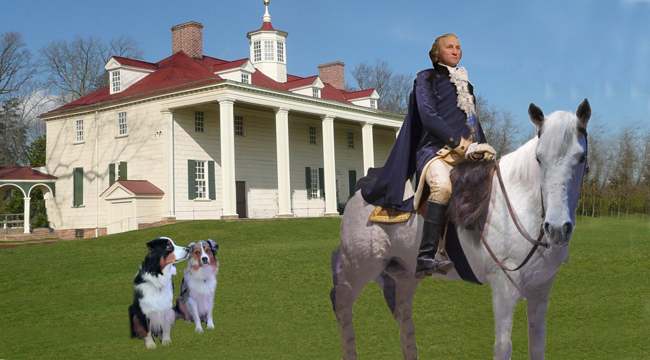 Washington.GaWy_650x360