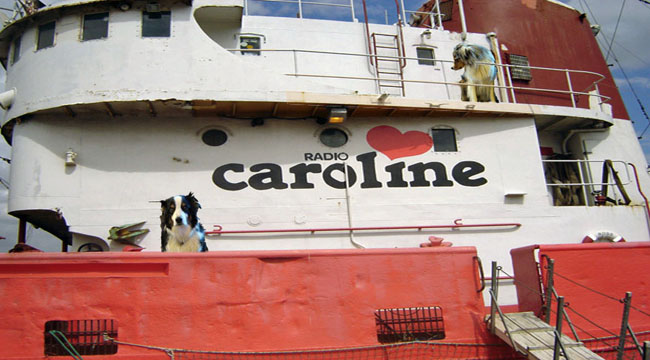 CarolineBridgeGaWy_650x360