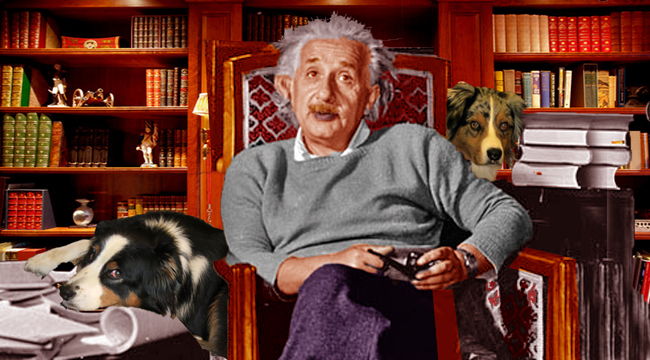 Einstein.GaWy_650x360
