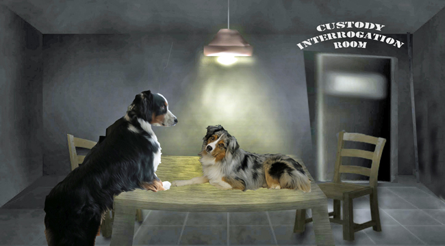 Miranda_GaWy2_650x360