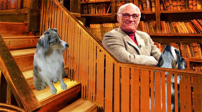 arthurmiller2x-gawy_650x360