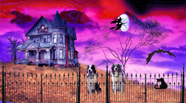 halloween-gawy_650x360