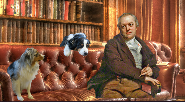 blake3a-gawy_650x360