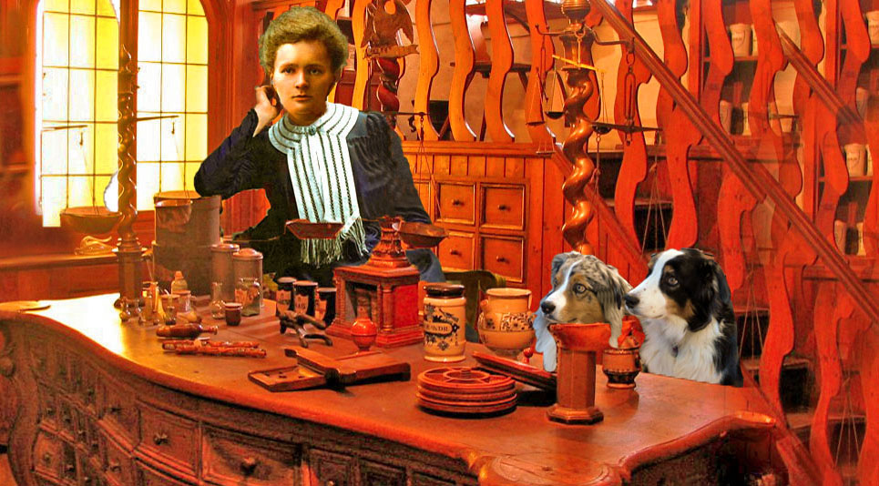 curie5x3-gawy_650x360