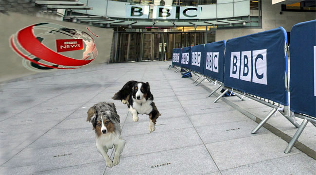 MPs Vote To Decriminalise Non-Payments Of TV License