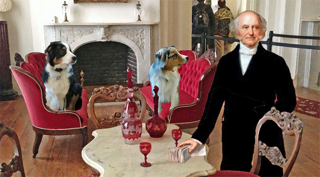 vanburen-gawy_650x360