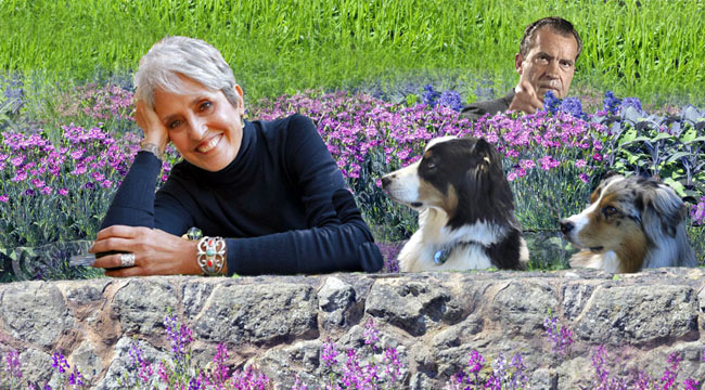 baez2x-nixon-gawy_650x360