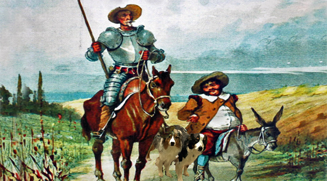 quixote-gawy_650x360