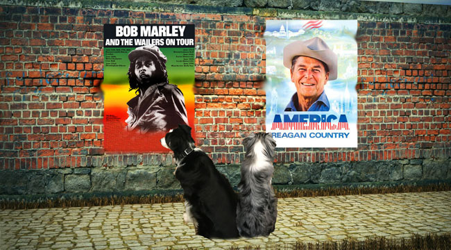 marley-reagan-ga-wy2_650x360