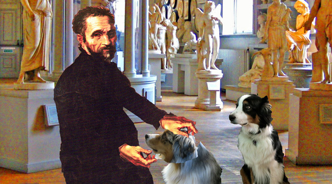 michelangalo-gawy2_650x360