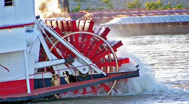 RiverCleanUpDay.GaWy_650x360