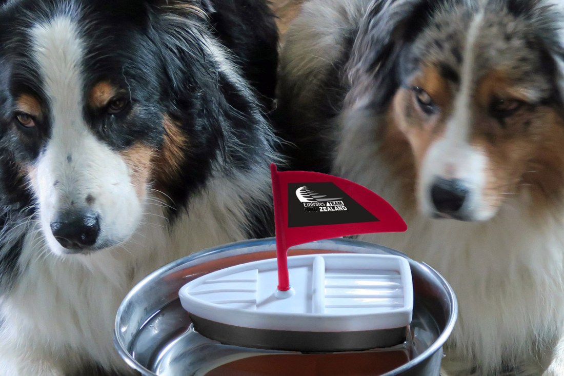 AmCupNZ.GaWy2_1200x800