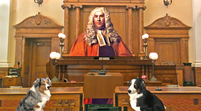 Blackstone.GaWy_650x360