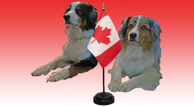 CanadaDay.GaWy_650x360