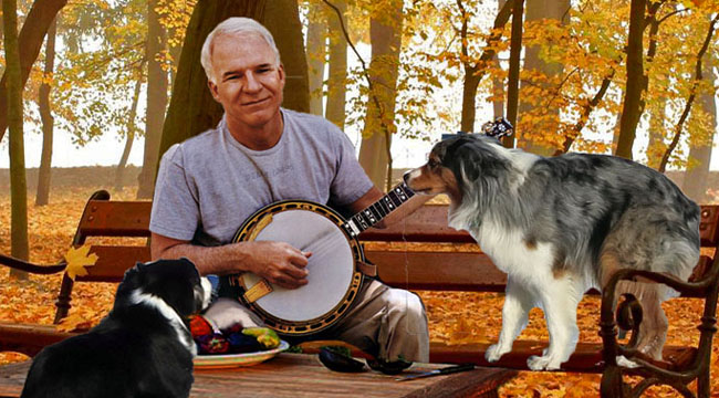 SteveMartin.GaWy_650x360