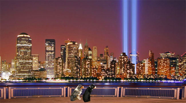 Tribute In Light