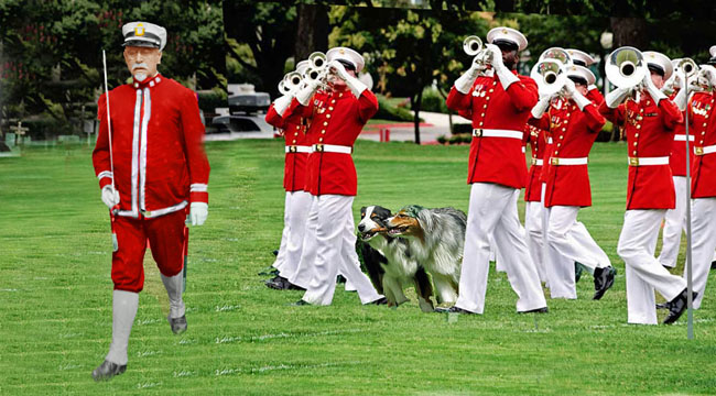 Sousa.GaWy_edited.650x360_edited-1