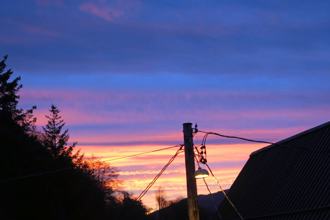 IMG_7669 copy1200x800