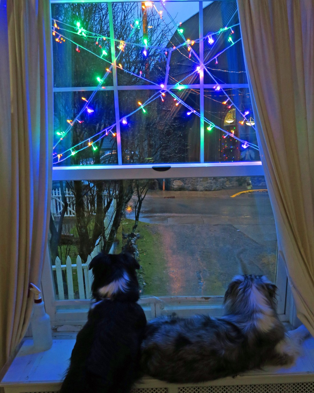 IMG_7732 copy_1600x2000