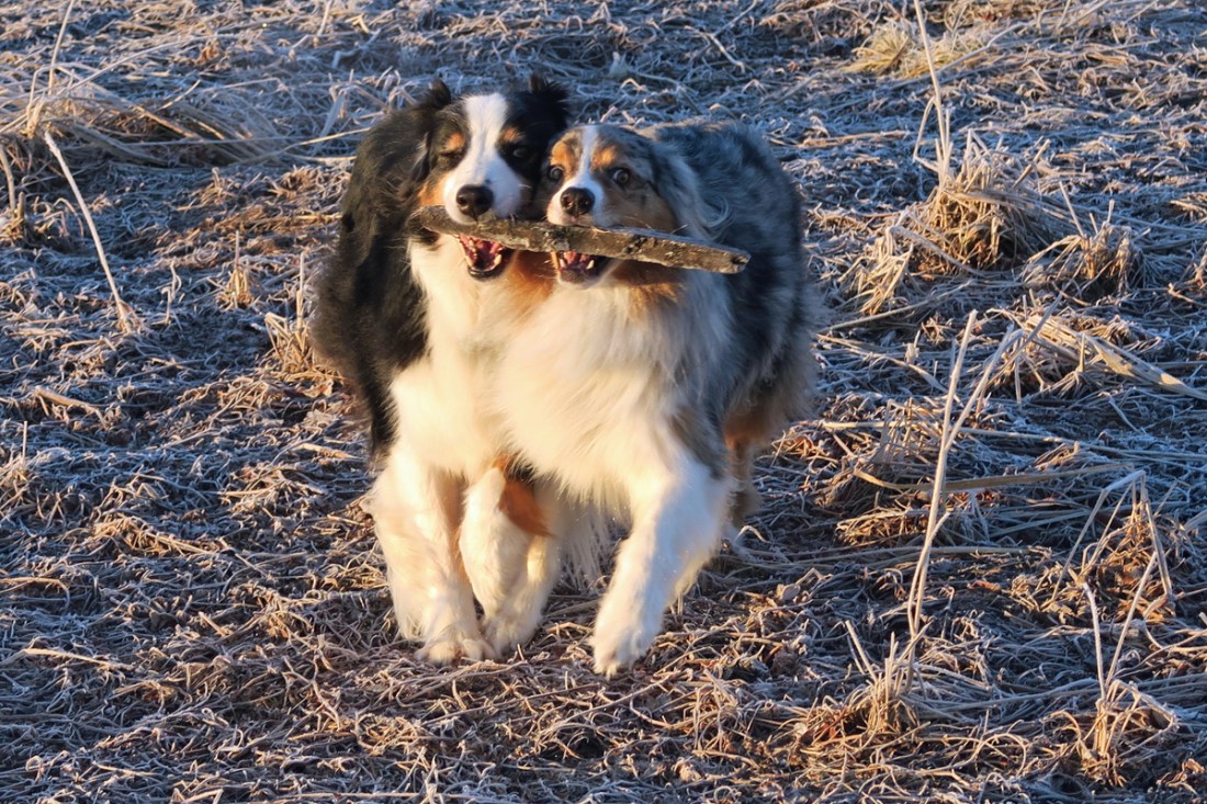 IMG_7877 copy1200x800