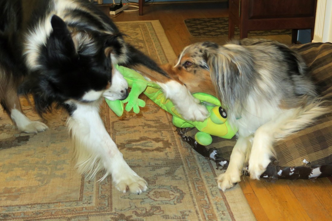 IMG_7971 copy.1200x800