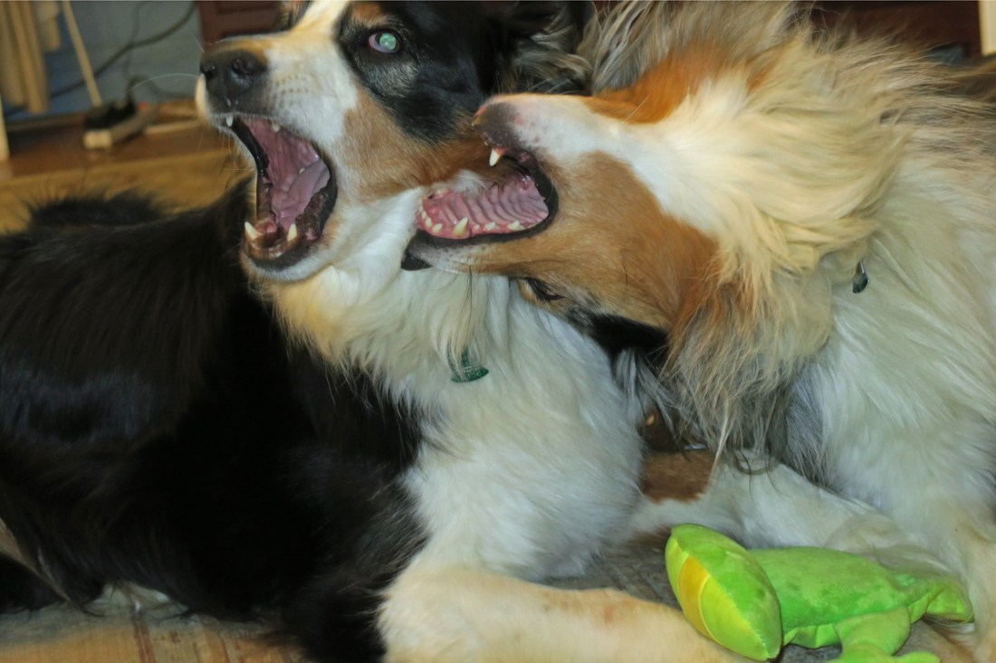 IMG_7973 copy.1200x800