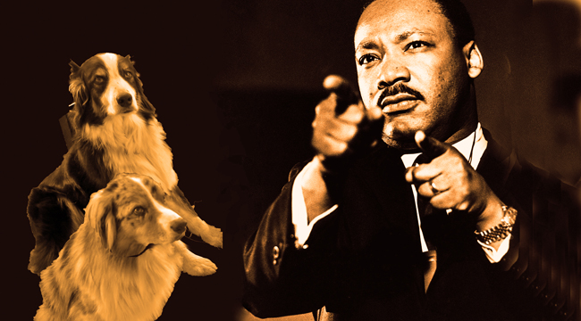 MLKing.GaWy_650x360