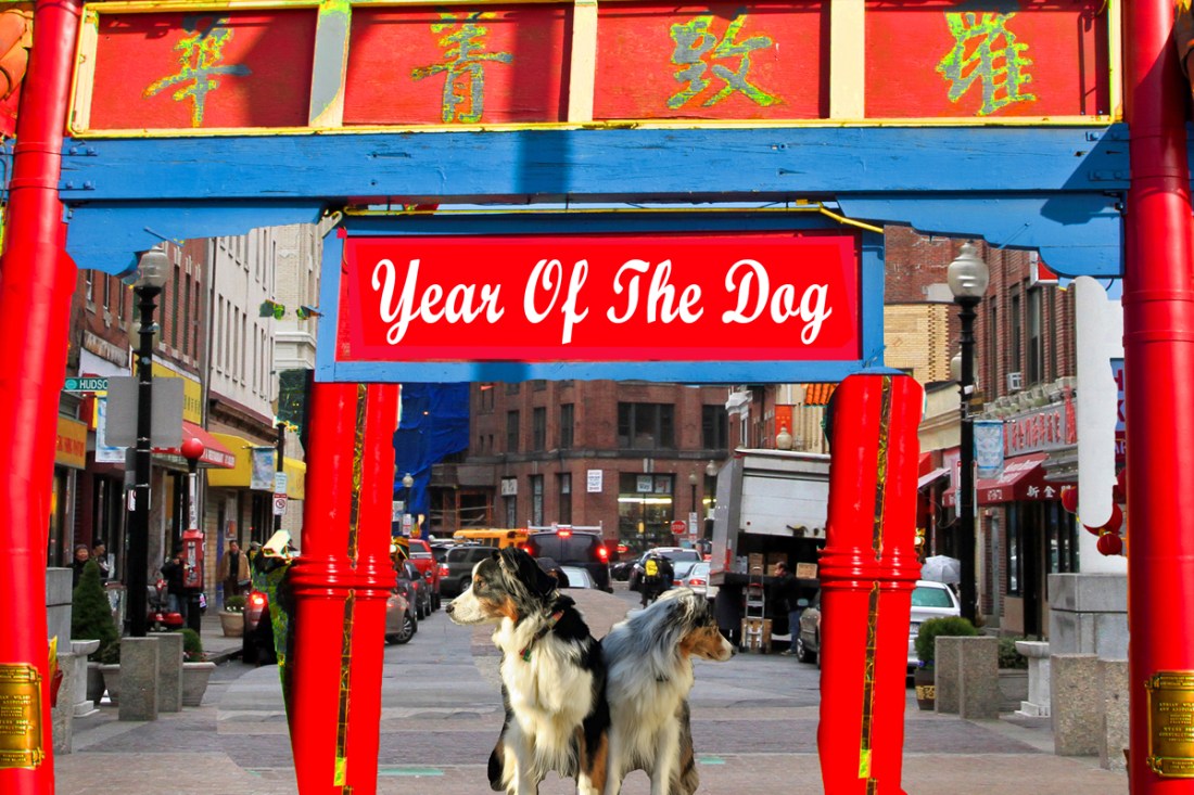 ChinaYear.GaWy_1200x800