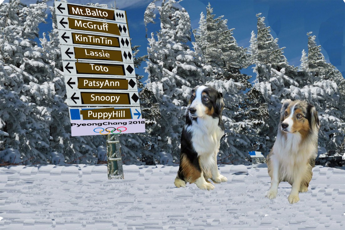 OlympicDownHill2.GaWy_1200x800