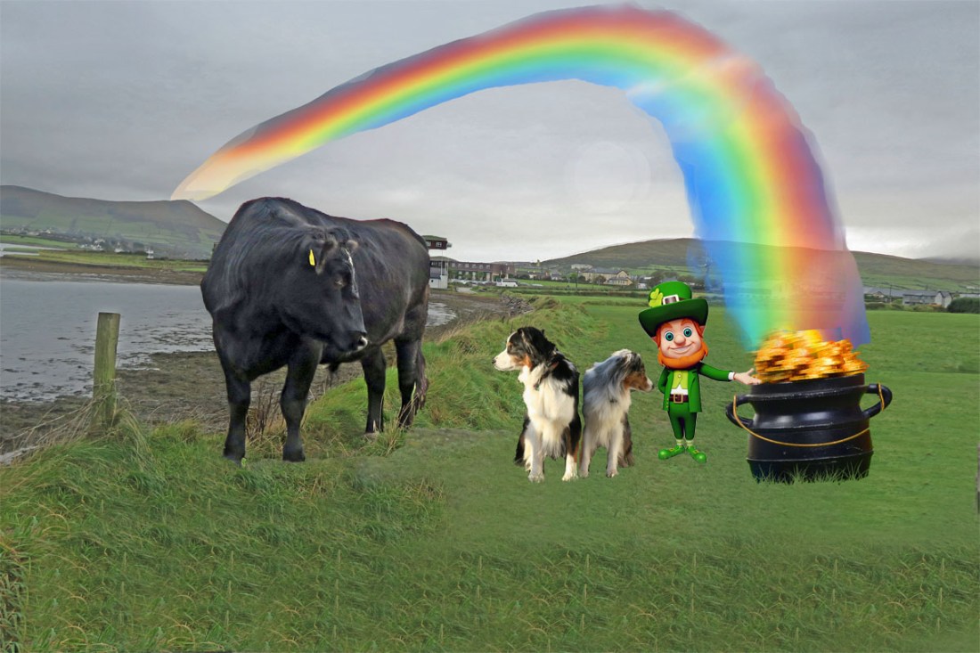 StPatrick.GaWy_1200x800b_edited-1