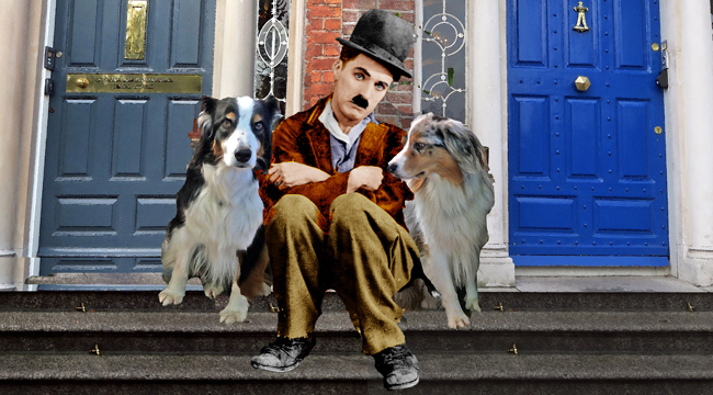 Chaplin.GaWy2b_650x360