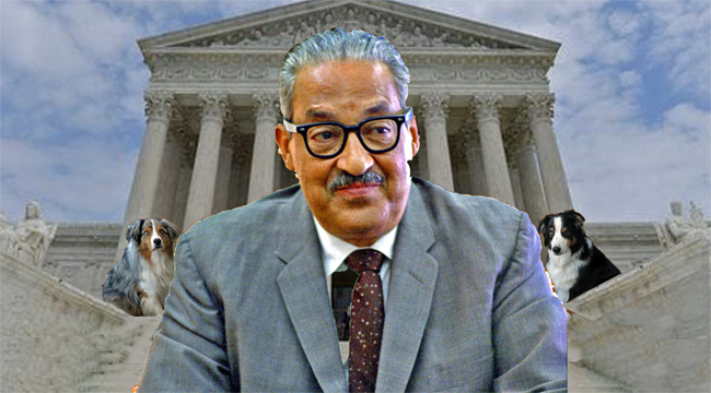 ThurgoodMarshall.GaWy_650x360