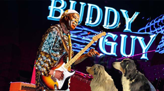 Peter Frampton And Buddy Guy in Concert - Valley Center