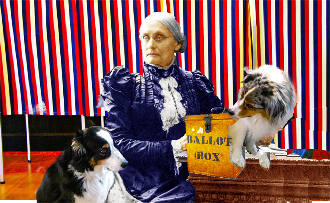 SusanAnthony.GaWy_650x400