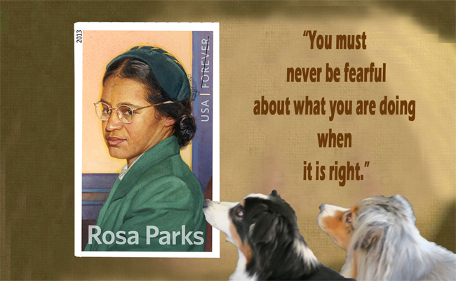 RosaParks.GaWy-650X400
