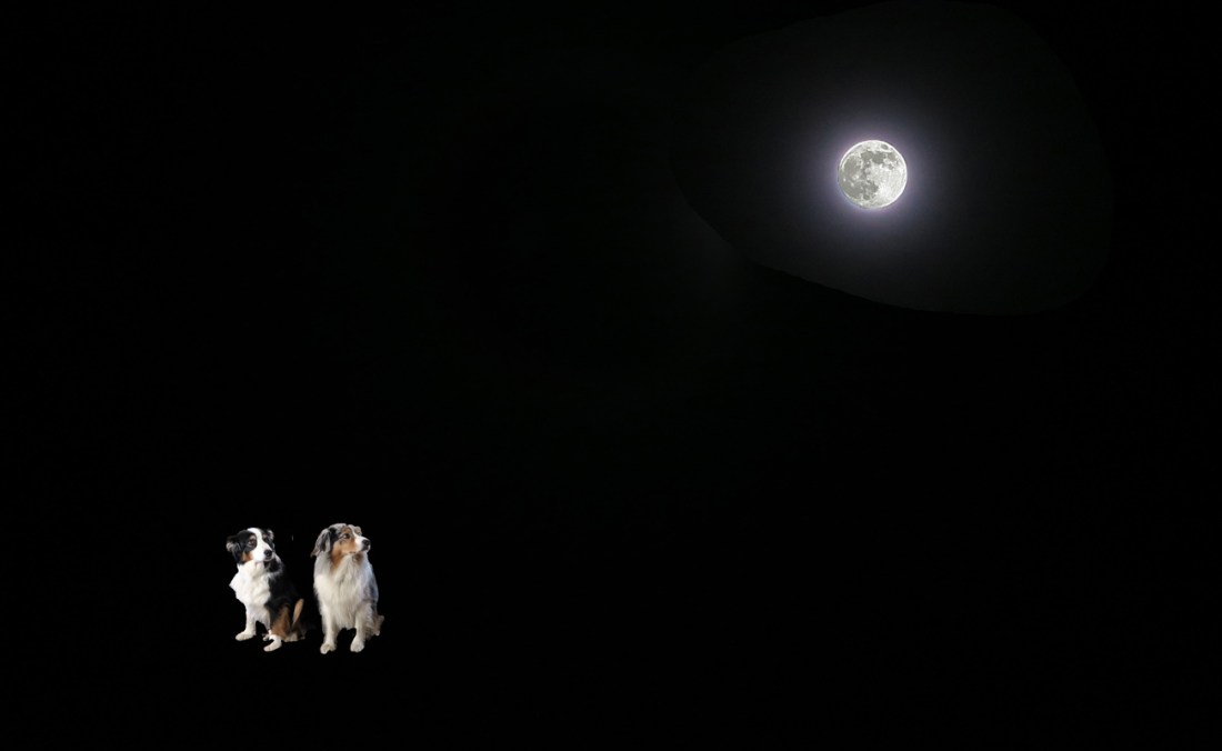 Equinox.GaWy_1300x800