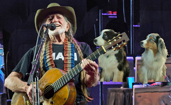 WillieNelson.GaWy.2019_650X400