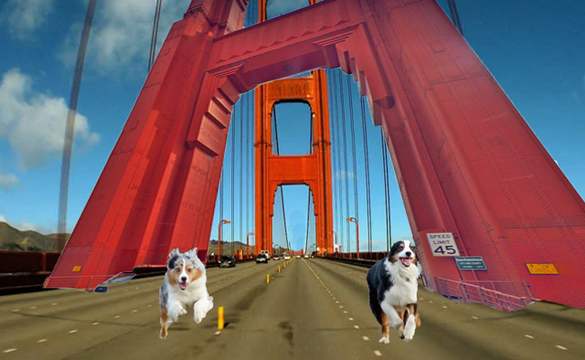 GoldenGate.GaWy_650x400b