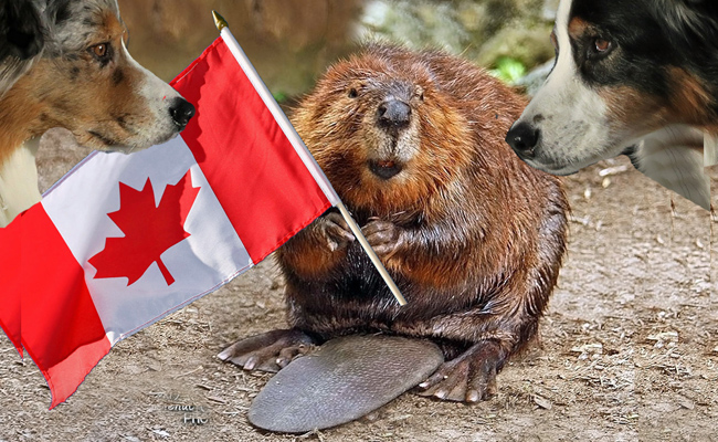 CanadaDay.GaWy_650x400