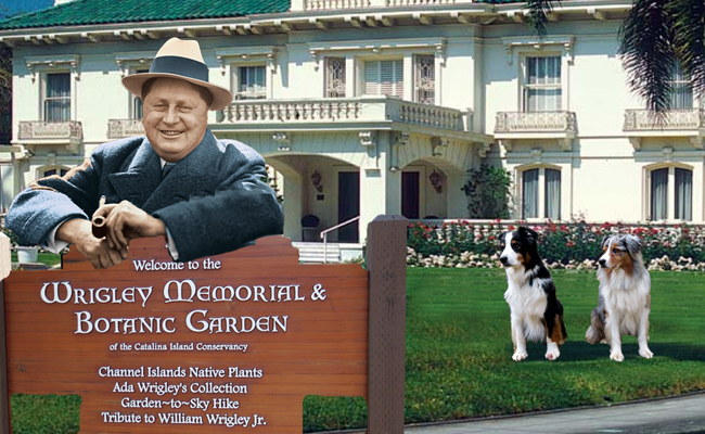 Wrigley.GaWy_650x400