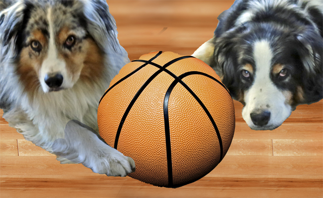 basketball on a court