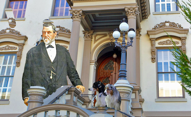 Stanord.GaWy2_650x400